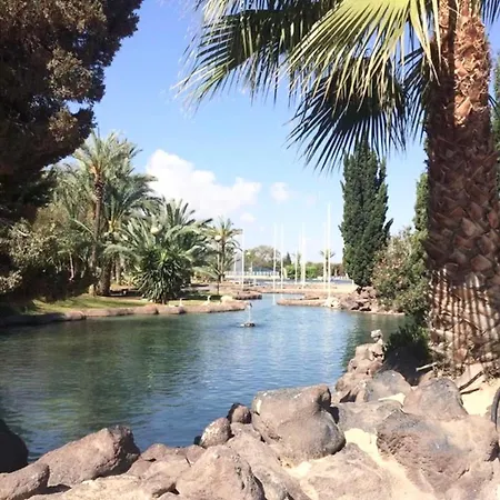 Apartment Proche Avec Piscine En Centre Torrevieja